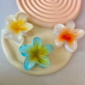 تصویر کلیپس گل پلومریا - قرمز 