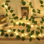 تصویر ریسه برگ پتوس چراغدار باتری خور نور آفتابی 
