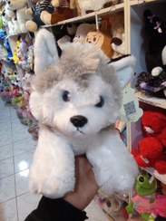 تصویر سگ اسکی aaaa