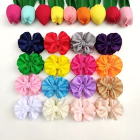 تصویر گلسر پاپیون چین چینی رنگی 