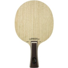 تصویر اینفینتی VPS استیگا 