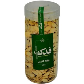 تصویر تخمه کدو فدک سبز (250 گرم) 