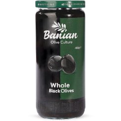 تصویر زیتون سیاه با هسته بانیان وزن 460 گرم 