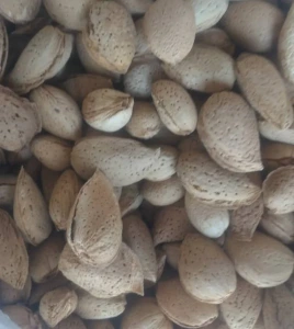 تصویر فروشگاه سینا شیراز