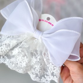 تصویر گلسر پاپیونی 