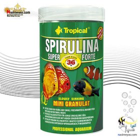 تصویر غذای گرانول سوپر اسپیرولینا فورت مینی تروپیکال Tropical Super Spirulina Forte mini Granulat