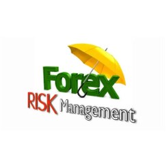 تصویر اکسپرت مدیریت ریسک و سرمایه در متاتریدر ۴ و ۵ (تخفیف) 