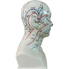 تصویر مولاژ طب سوزنی سر 