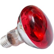 تصویر لامپ مادون قرمز مادر مصنوعی حباب بزرگ R80 وات ۶۰ 