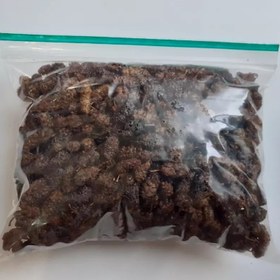 تصویر توت خشک شیرین 