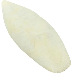 تصویر فروشگاه خانه پرندگان