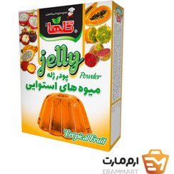 تصویر پودرژله میوه استوائی - 100 گرم(جعبه) گلها 