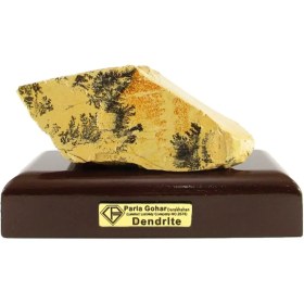 تصویر سنگ راف شجر فسیلی (دندریتی ) کد 3919 