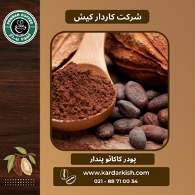 تصویر پودر کاکائو پندار 500 گرمی 