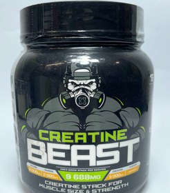 تصویر کراتین یو اس ان ۱ کیلو Creatine Beast USN 1kg