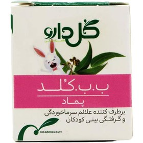 تصویر پماد ب ب کلد گل دارو 28 گرمی GolDaru Be Be Cold Ointment 28 g