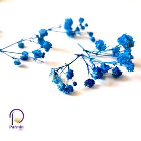 تصویر گل خشک ژیپسوفیلای 