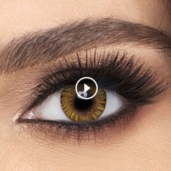 تصویر لنز رنگی روزانه فرشلوک مدل Pure Hazel سایز ۱۴.۵ 