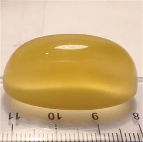 تصویر در فاطمی طلائی 