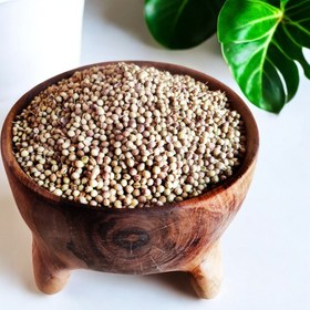 تصویر تخم گشنیز 