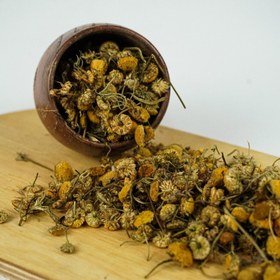 تصویر بابونه 