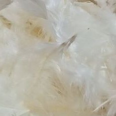 تصویر بالش مدل پر 2500 