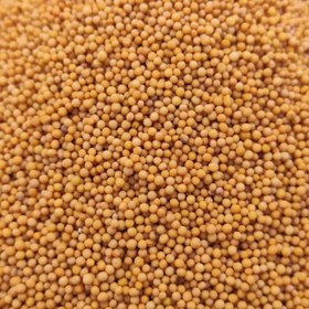 تصویر خردل فله ای 