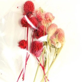 تصویر گل خشک شمع سازی 