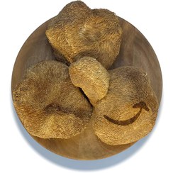 تصویر قارچ یال شیر خشک ۱۰۰ گرمی 