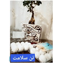 تصویر سفید آب شترمرغ طبیعی 