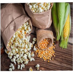 تصویر بذر ذرت کد bzp-1 