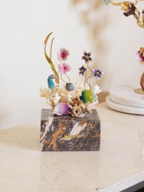 تصویر مرجان 