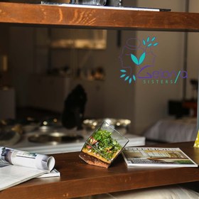 تصویر تراریوم مدل کیوب | کد: ZNB-GGH 