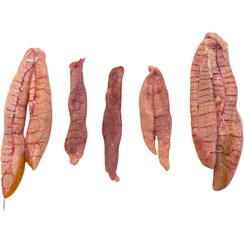 تصویر اشپل (تخم ماهی) صید روز 