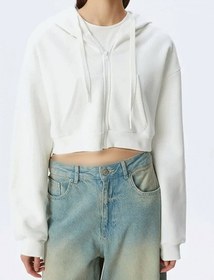 تصویر دسته بندی: 