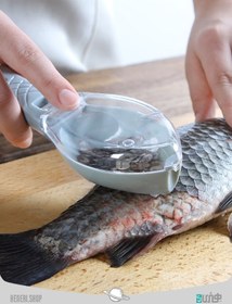 تصویر پولک گیر ماهی Fish scales 