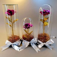 تصویر گل رز جاودان گلکسی صورتی | باکس دیو و دلبر | کادو ولنتاین 