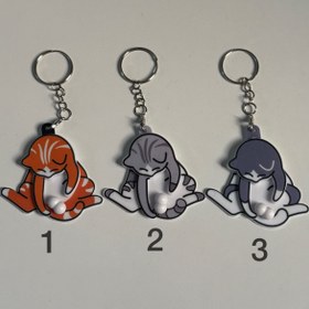 تصویر پیشولی 