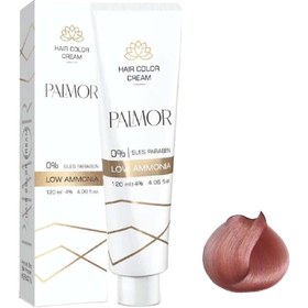 تصویر پالمور F10 