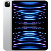 تصویر تبلت اپل iPad pro 6th 2022 Cellular 12.9 Inch | حافظه 2 ترابایت Apple ipad pro 6th 2022 Cellular 12.9 Inch 2 TB