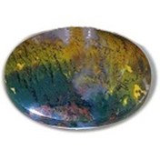 تصویر سنگ شجر پاییزی S3 