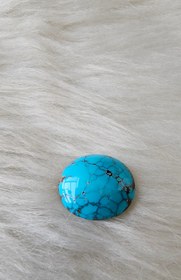 تصویر نگین فیروزه شجر 