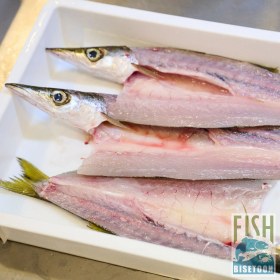 تصویر استیک ماهی کوتر (فله) 