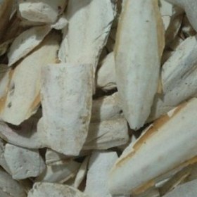 تصویر کف دریا ۱۵۰ گرمی 