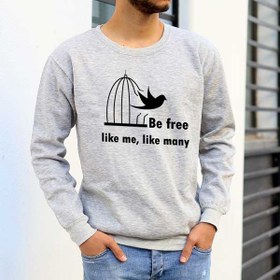 تصویر پلیور طرح آزادی و قفس پرنده 