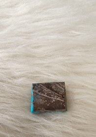 تصویر نگین فیروزه شجر 