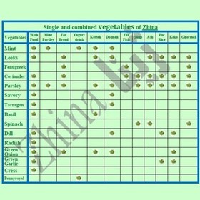 تصویر سبزی شوید سرگل خشک ژینا درجه یک و اعلا 150 گرمی از کویر خراسان 