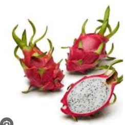 تصویر دراگون سفید 