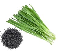 تصویر بذر تره 