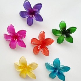 تصویر گیر انبری پلومریا 180 